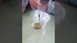 Cosmo Сад в д.Рузино.  Опыт с краской и водой. Группа 1/2.