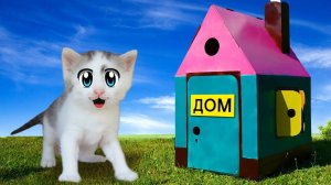 ГИГАНТСКИЙ картонный ДОМИК для КОТОВ А ну-ка Давай-ка ! Смешной Кот и Кошечка Мурка и РУМ ТУР
