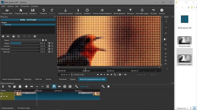 36. Shotcut. Фильтры (Полутон, Удаление пятен)