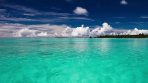 Красота под водой ч42