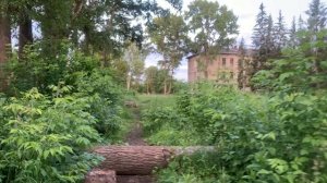 Walking through the beautiful village: пробираюсь сквозь заросли