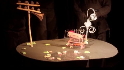 История без слов