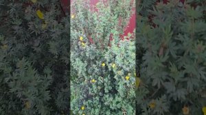 22-06-2025 всё в кучу