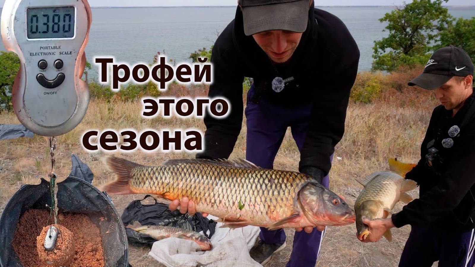 Огромные Дикие Сазаны клюют на ВОЛГЕ. Вот это трофеи этого сезона