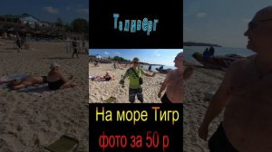 На море тигр фото за 50 р