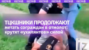 Захват ухилянта возле детского сада и перцовка для защитниц — произвол полиции на Украине