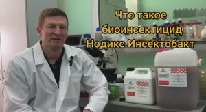 Что представляет биоинсектицид "Нодикс Инсектобакт"?