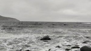 Северный Ледовитый океан.