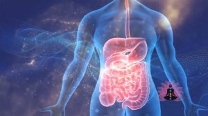 Сайт Гаряев-Матрицы.РФ Архив: Чистая Матрица Гаряева | Скачайте полный Архив матриц 2025