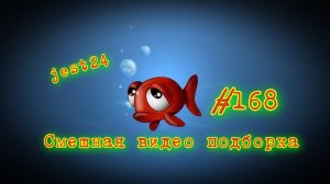 Смешная видео подборка #168