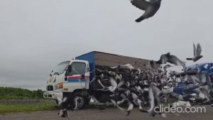 6 гонка. 348км. Московский регион. Старт 22 июня 2025 года.