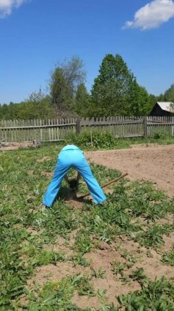 Дачный сезон в разгаре.....