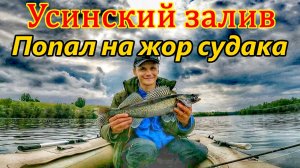 ЖОР СУДАКА/ПОДОБРАЛ СИЛИКОН И НАЛОВИЛ РЫБЫ/РЕКА УСА-САМАРСКАЯ ОБЛ./ЛОВЛЯ НА ДЖИГ/РЫБАЛКА НА СПИННИНГ