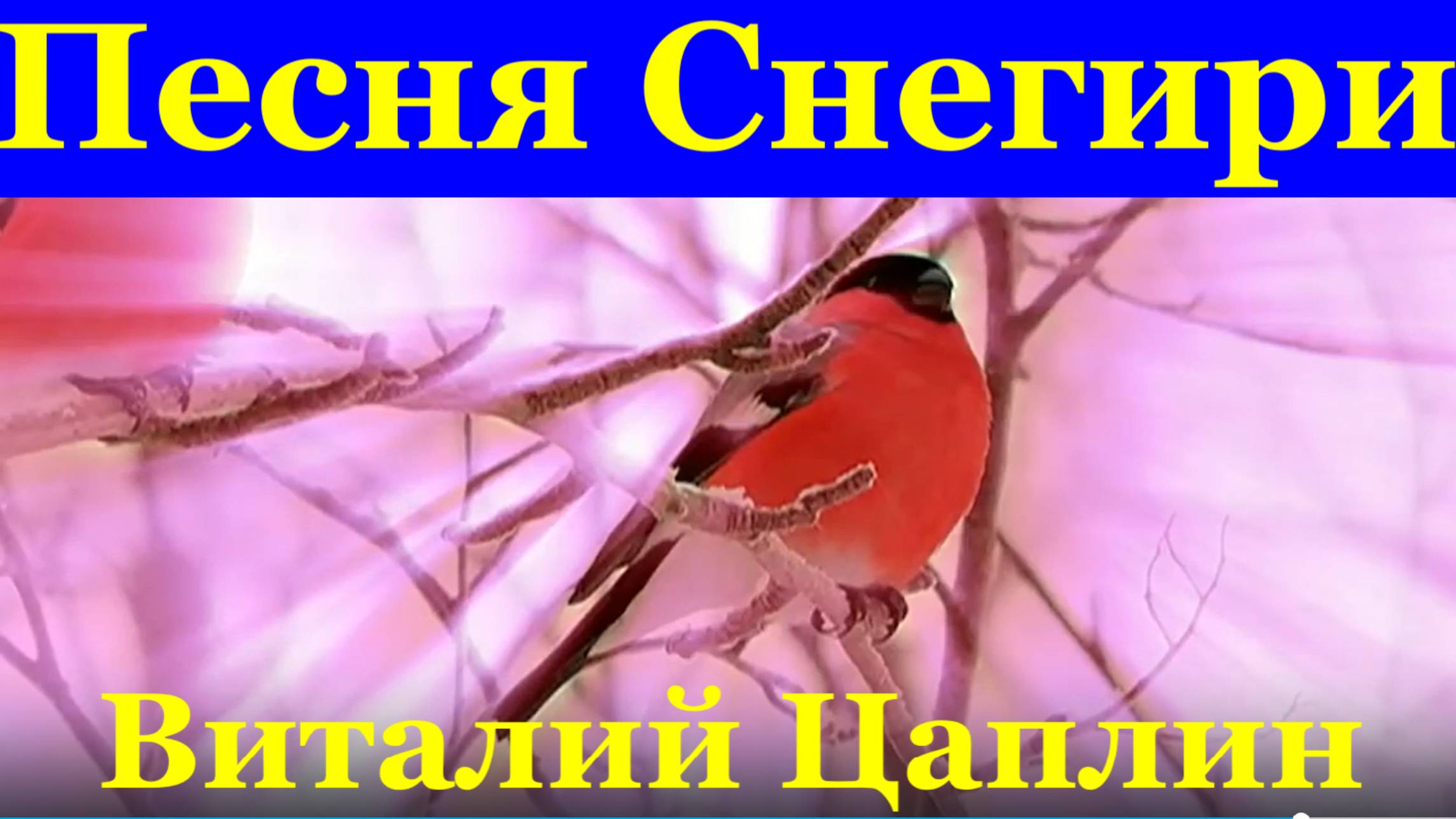Песня Снегири Шансон для души о любви душевные песни Виталий Цаплин