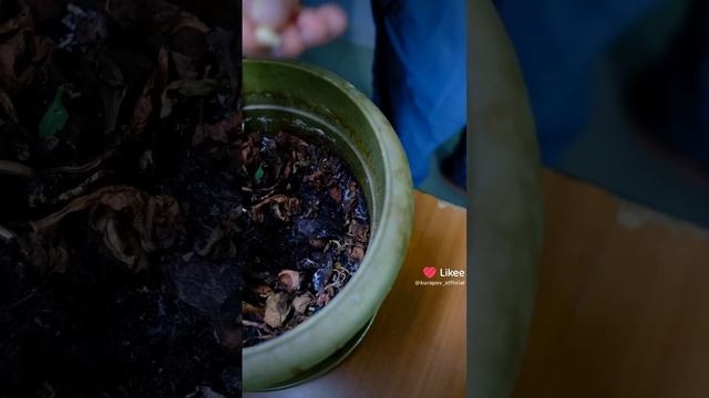 парню не хватило денег на сок Но зато хватило на апельсин
