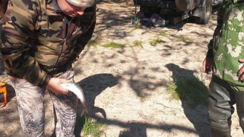 Первый омуль.