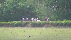 22.06.2025г скачка № 12