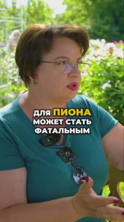 Пионы Не Будут Пышными Без Этого 🌸✨
