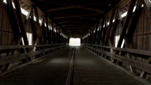 12734285_1920_1080_24fps