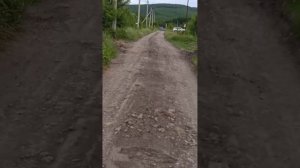 Прогулка по ст Азовская
