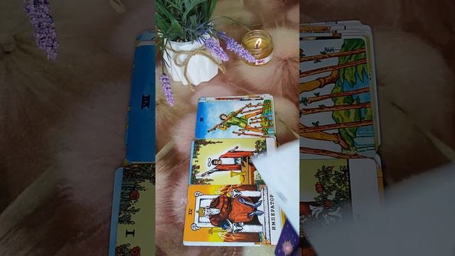 События нескольких дней 🕊️💥