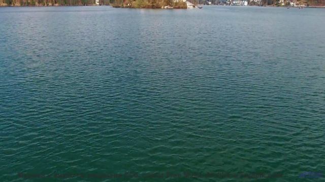 Природа оживает, стоит лишь дать музыке разлиться - Occhiolism -- Sea Offs -- Whats The Point