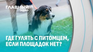 Штраф за прогулку с собакой? Почему даже ответственные хозяева нарушают закон. Главный эфир