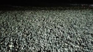 Прогулка в последний вечер