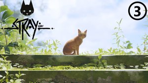 Stray ● Прохождение ● часть 3