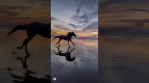 Мне Жизнь с улыбкой отвечала ....