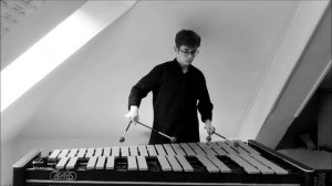 N. Zivkovic "Suomineito" (vibraphone solo) - Н. Живкович "Суоминейто" (вибрафон)