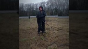 Жгучая брюнетка, с блестящей шерсткой ищет своего человека