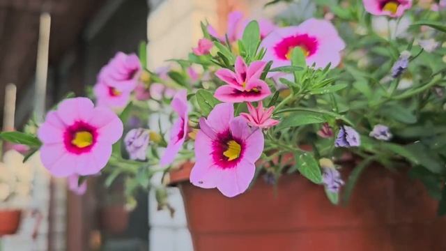 Шикарный забор своими руками. Теперь у кур забор круче