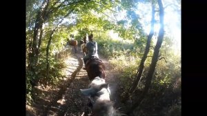 Конная прогулка в Крыму