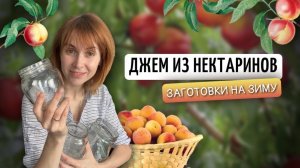 Джем из нектаринов | Заготовки на зиму своими руками
