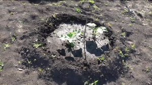 Работы на участке на 22 июня 2