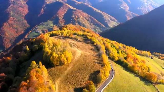 Мелодия природы среди тумана, деревьев и неба – Часть 5