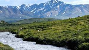 Аляска, Национальный парк Денали