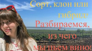 Сорт, клон или гибрид- из чего сделано Ваше любимое вино?