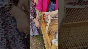 Помогите ребенку найти занятие по душе #семейные выходные
