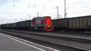 Тепловоз ТЭМ2УМ-305. Тихо едет, не спеша, ТЭМка горшками шурша.