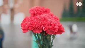 Памятная акция в День памяти и скорби