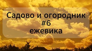 Ежевика цветочные зародыши. Садовод и огородник. Выпуск 6