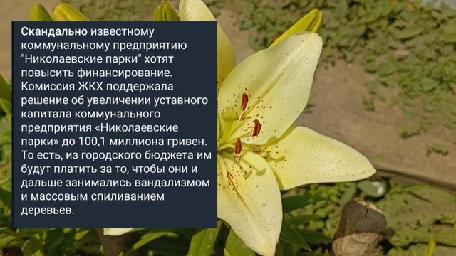Николаев 23 июня 2025 года (новости)