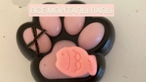 ВСЕ МОИ ТАПЫ ЛАПЫ//