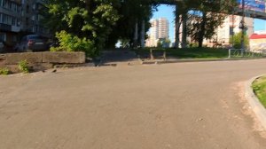 Бeгу чтобы бежатть. oh my god herman