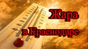 Как мы переносим жару в Краснодаре.