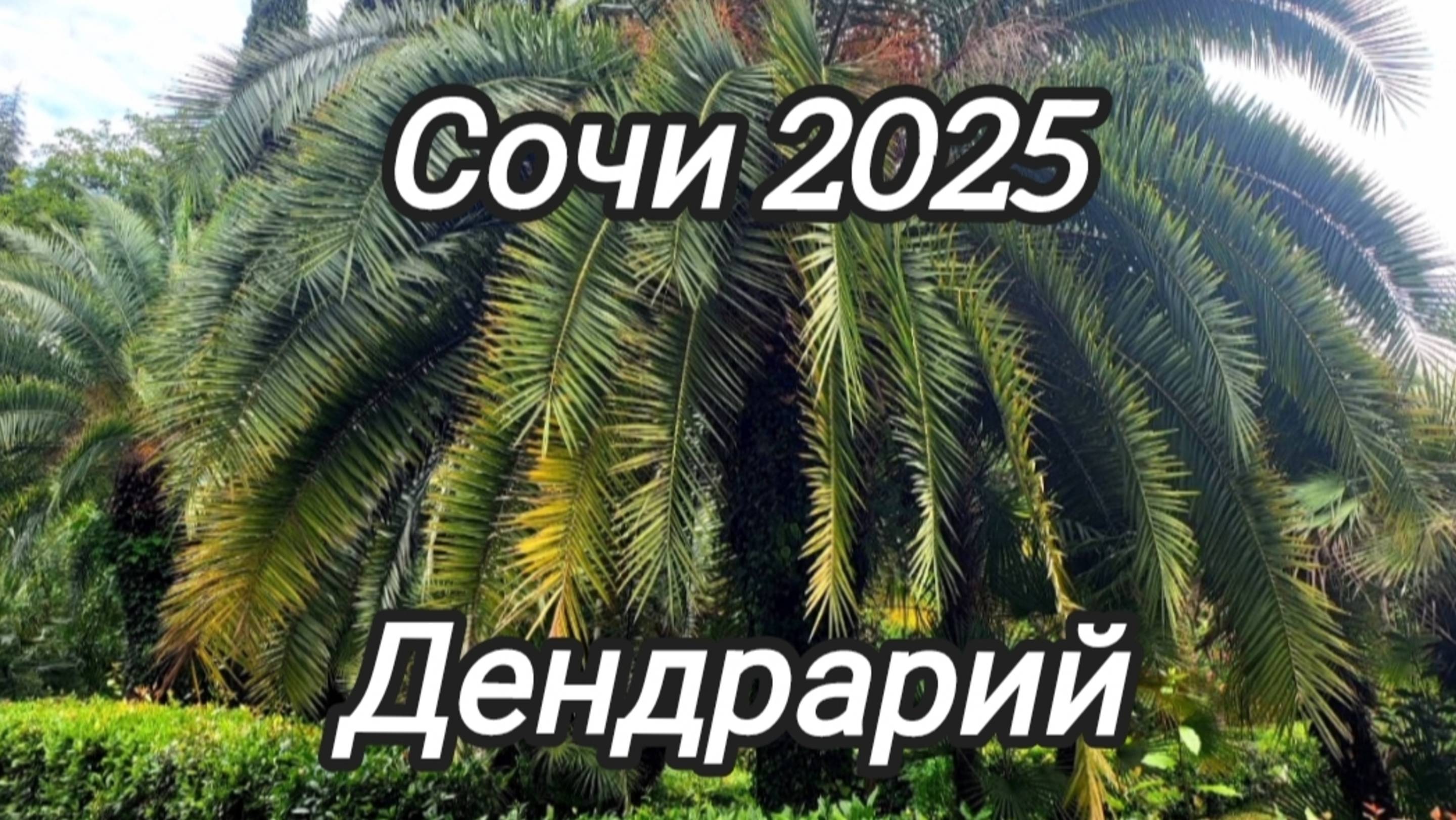 Сочи. Парк Дендрарий