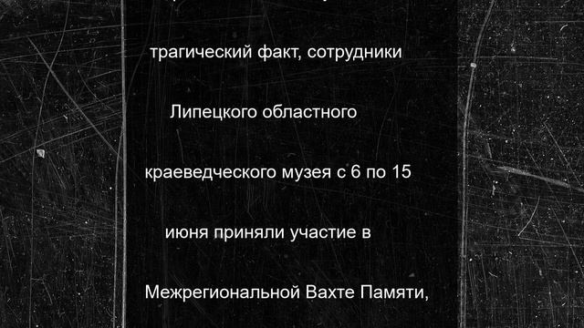 В липецком Волово найдены останки 7 жертв нацистских зверств