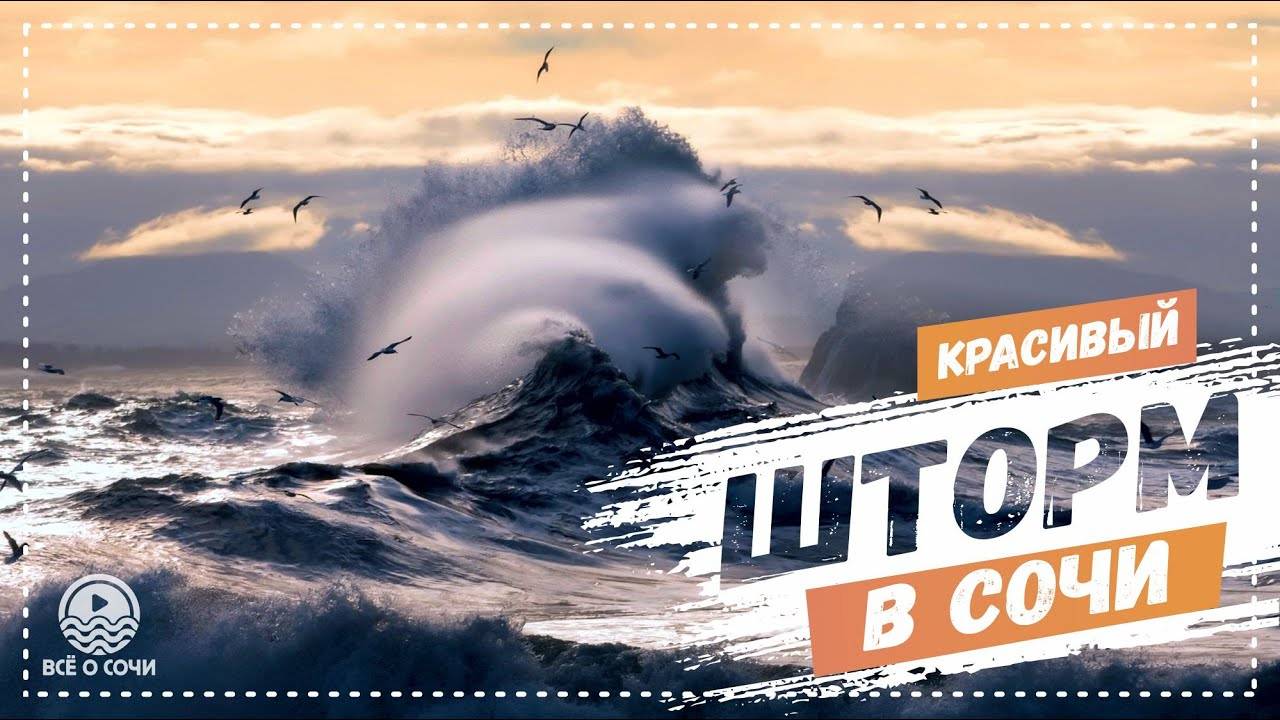 КРАСИВЫЙ ШТОРМ в СОЧИ !!! УРА 🥳 получили адрес на 🏠 ДОМ в СОЧИ